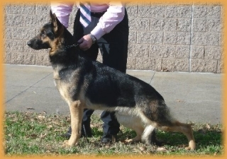 Pictured at 11 Months