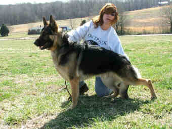 Jackson