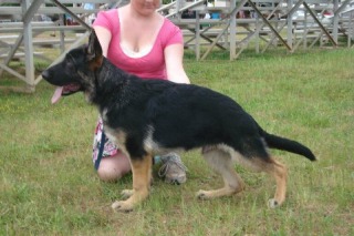Kane at 5 months