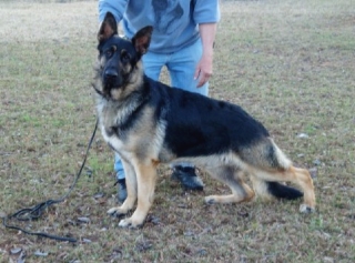 KANE 15 Months